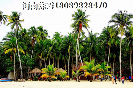黑石橡树湾房子能生纸吗？