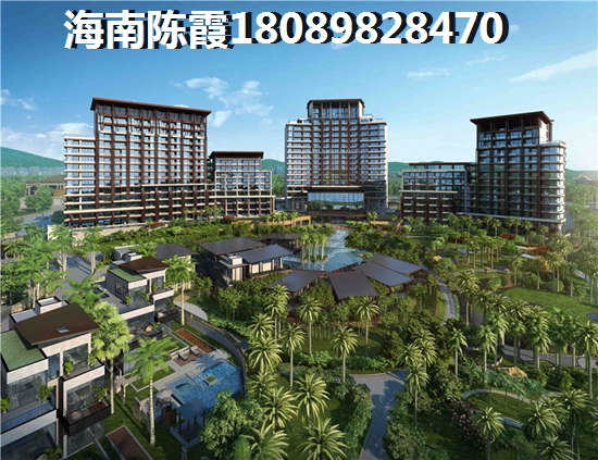 椰香海韵分析