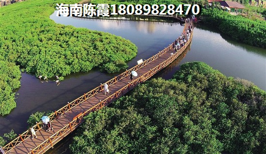 海南琼海房子还能生纸吗