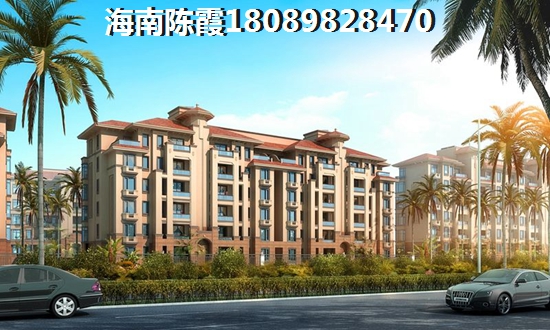 “候鸟”能买兆和万泉椰风房子吗？