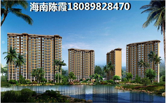 琼海买房touzi哪里醉好，绿叶经典买房的攻略心得~